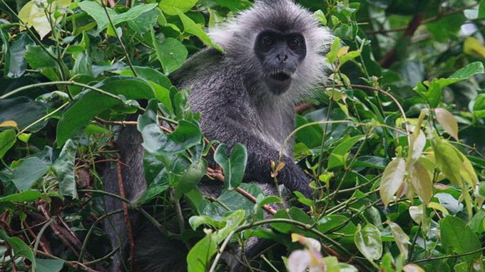 du lịch hàn quốc